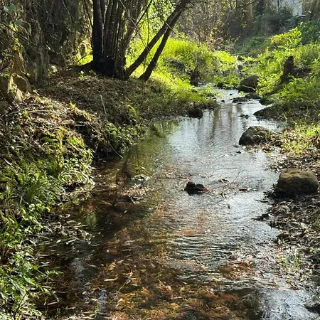 Guest house Casas Rio 3*